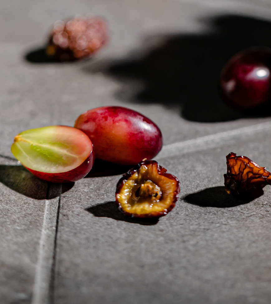 Dry fruits 神紅 イメージ写真