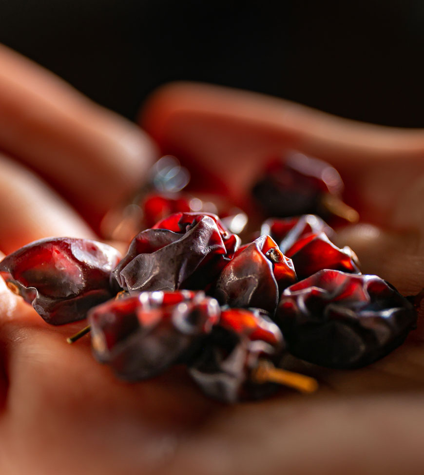 Dry fruits 神紅 イメージ写真